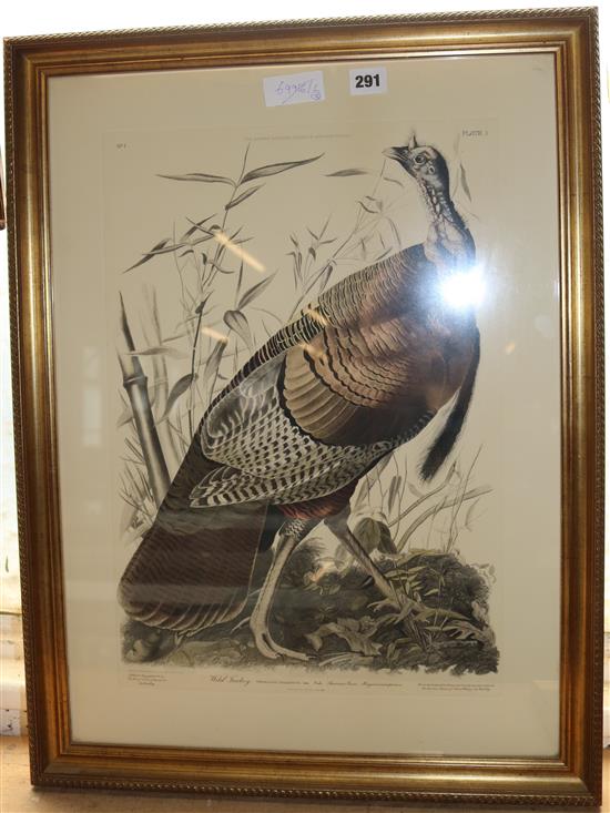 After Audubon, 3 coloured bird prints